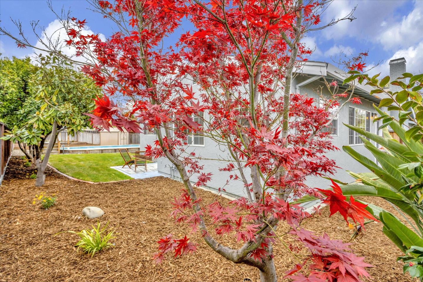 2860 Encinitas Court San Jose, CA 95132 - Photo 40 of 45 a backyard of a house with a tree