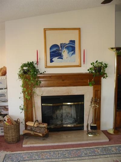 88 Yosemite Road, Unit 88 San Rafael, CA 94903 - Photo 3 of 11 a living room with a fireplace and a potted plant
