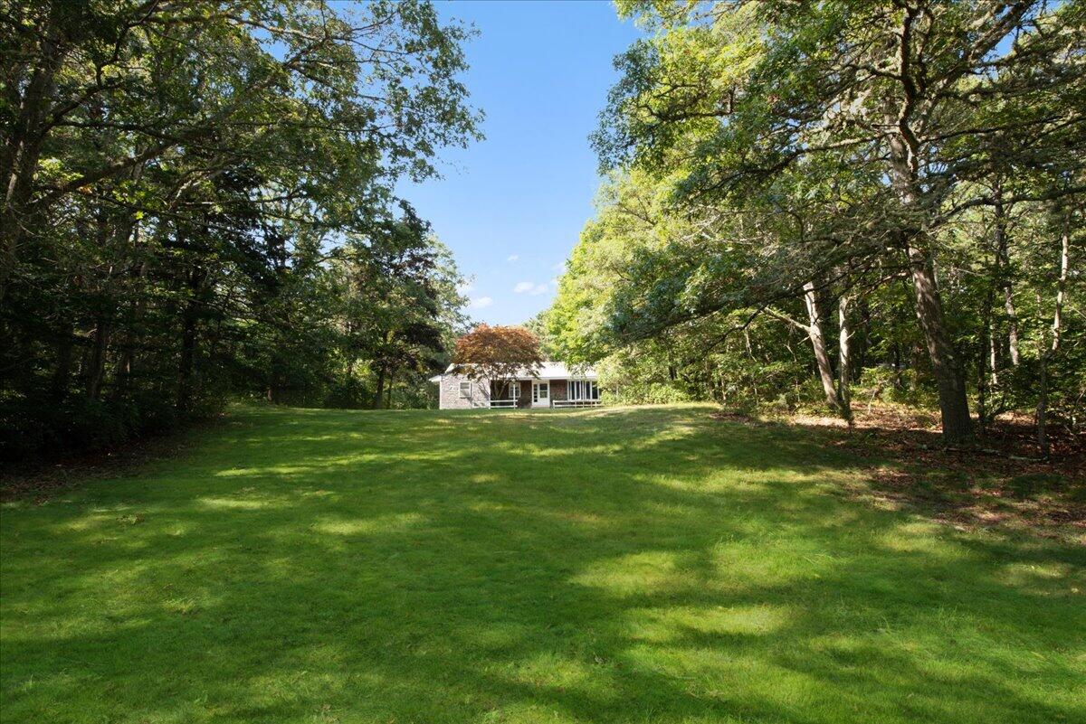 a fire hydrant in the middle of a field