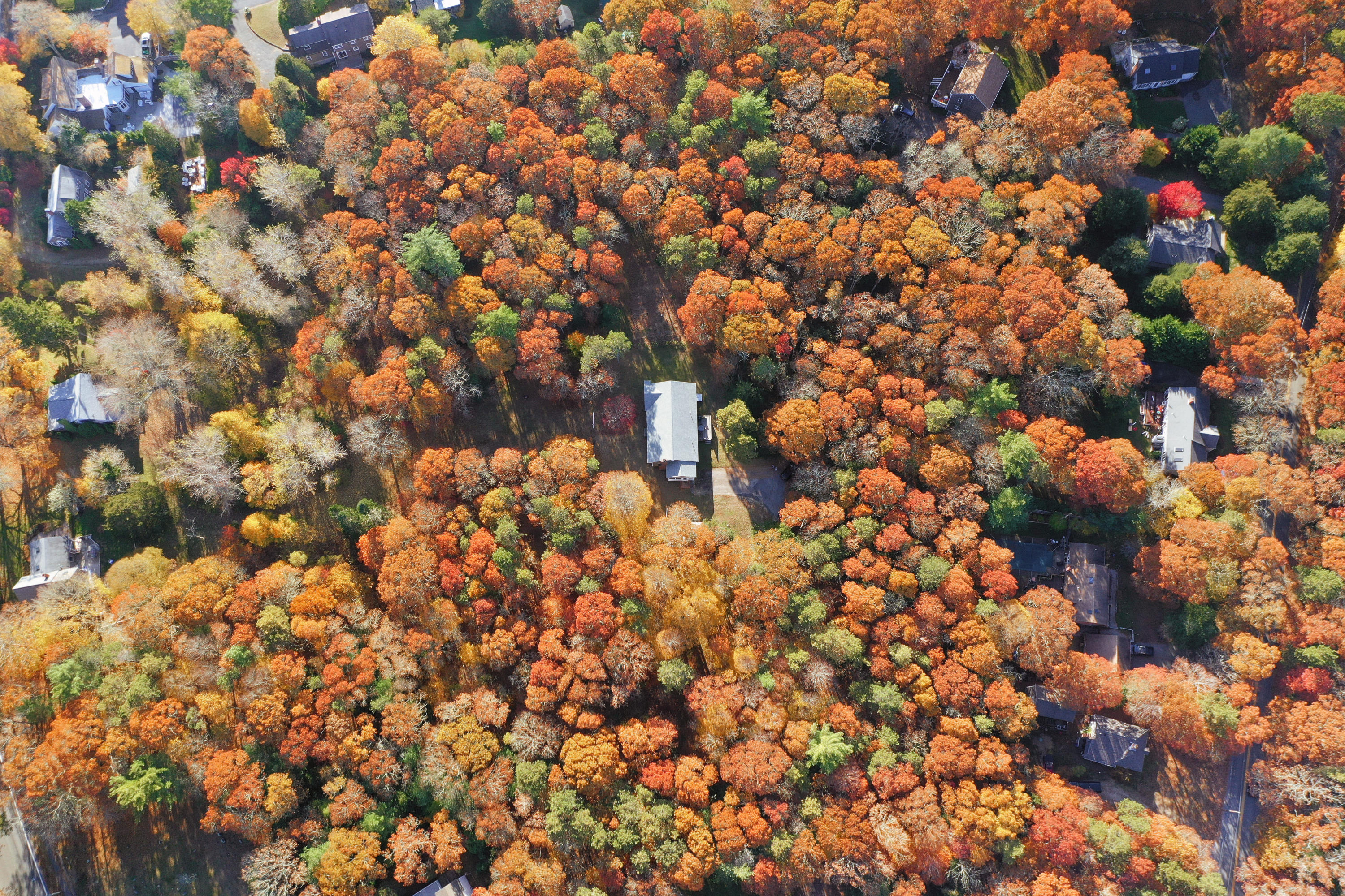 169-173 Old Post Road Centerville, MA 02632 - Photo 43 of 50