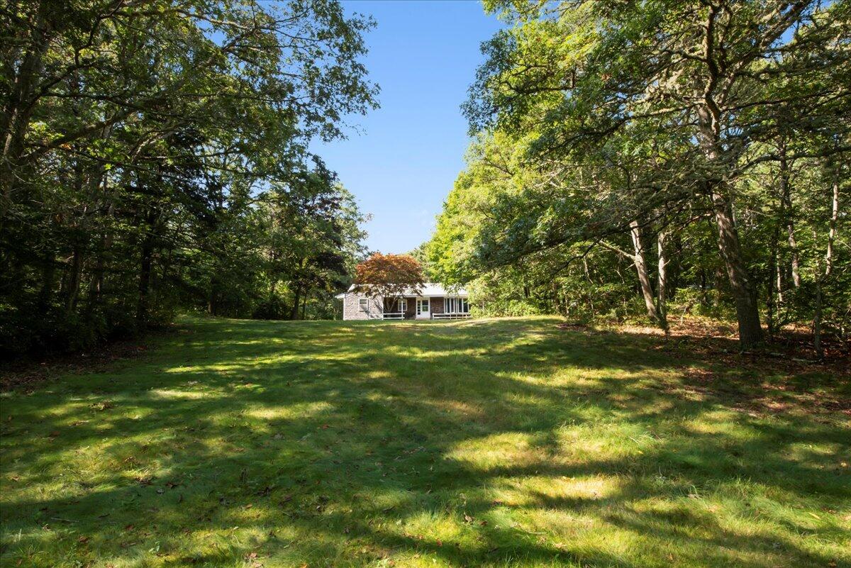 169-173 Old Post Road Centerville, MA 02632 - Photo 44 of 50 a view of a trees in a yard