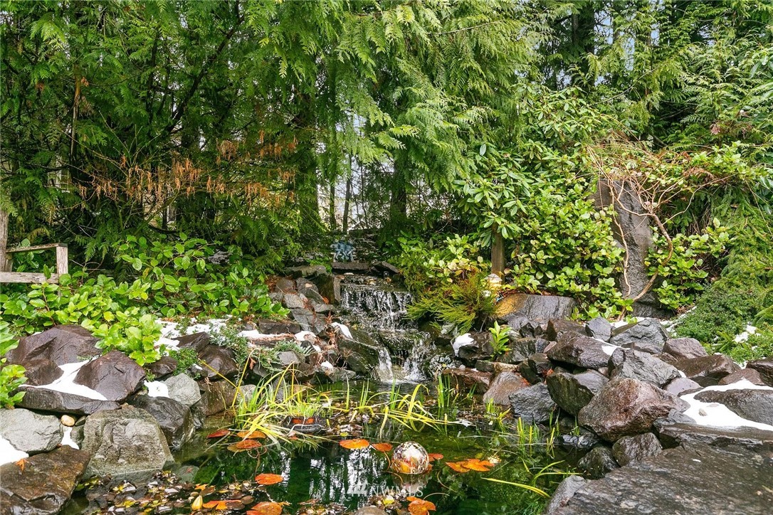 23809 Southeast 243rd Street Maple Valley, WA 98038 - Photo 30 of 40 a view of flowers in a garden