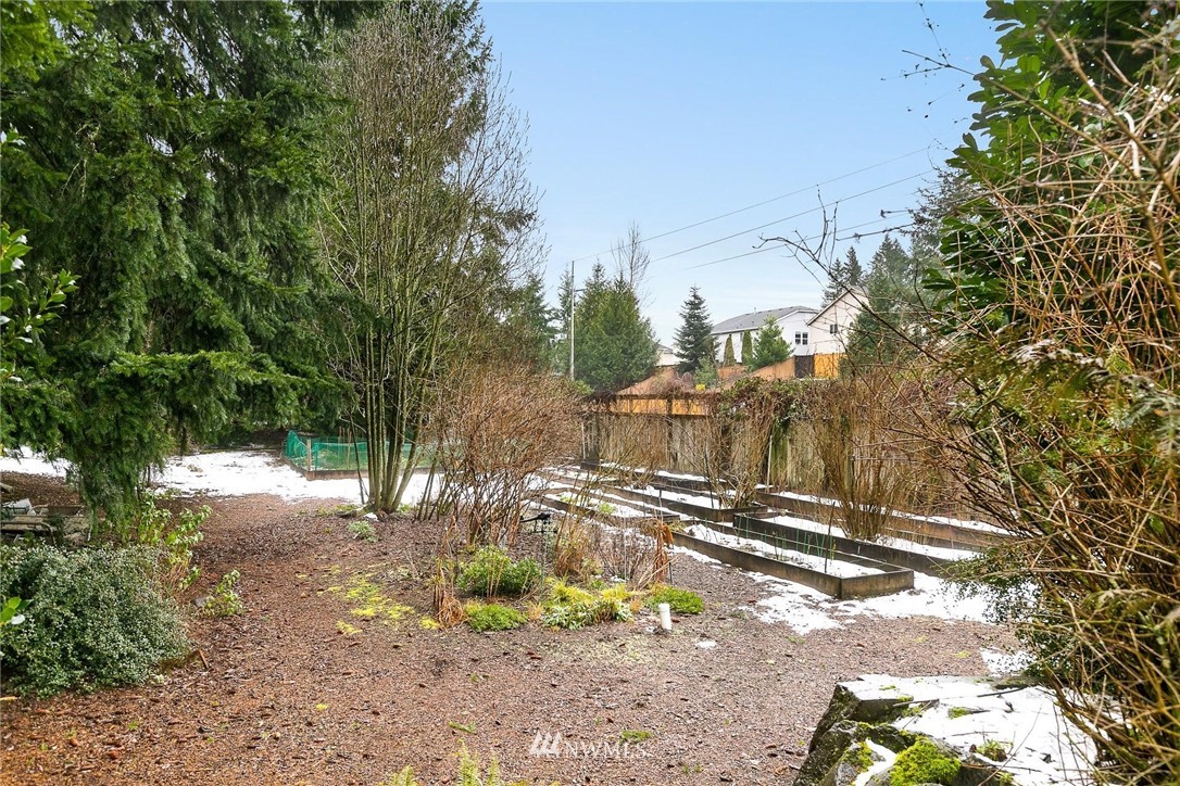 23809 Southeast 243rd Street Maple Valley, WA 98038 - Photo 31 of 40 a view of street