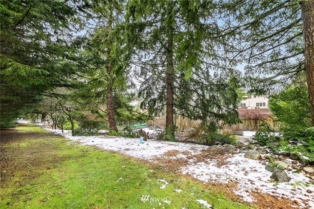 23809 Southeast 243rd Street Maple Valley, WA 98038 - Photo 33 of 40 a view of outdoor space with trees all around