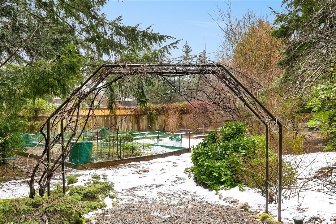 23809 Southeast 243rd Street Maple Valley, WA 98038 - Photo 34 of 40 a view of a yard