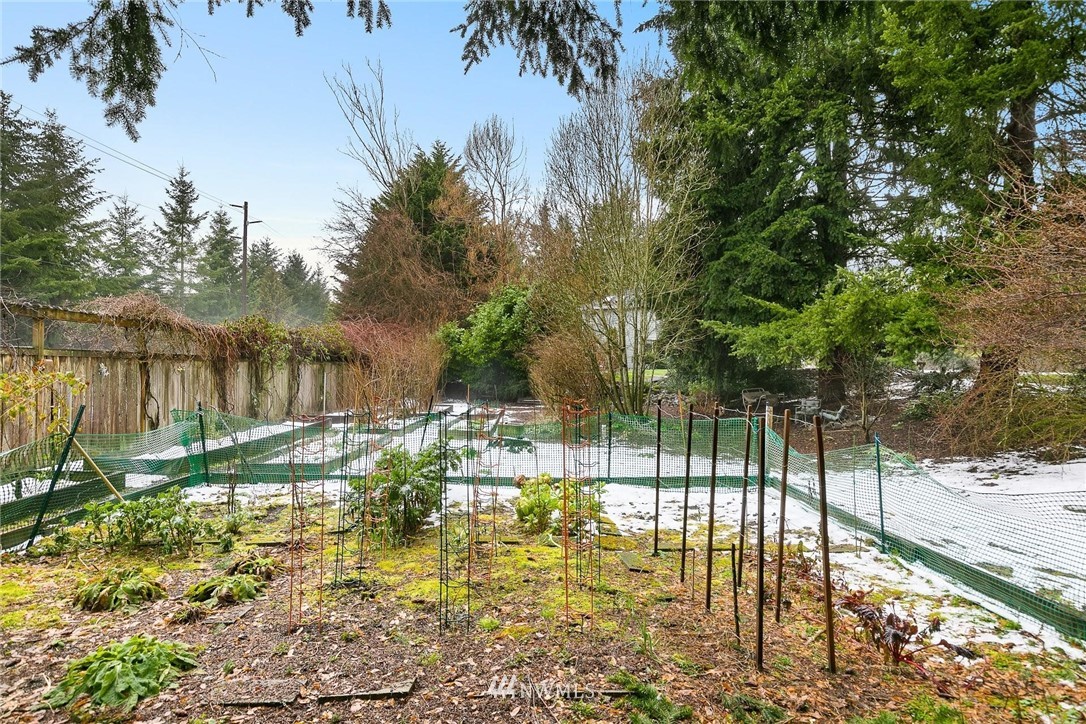 23809 Southeast 243rd Street Maple Valley, WA 98038 - Photo 35 of 40 a view of yard