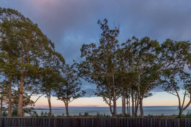 a view of a outdoor space and a yard