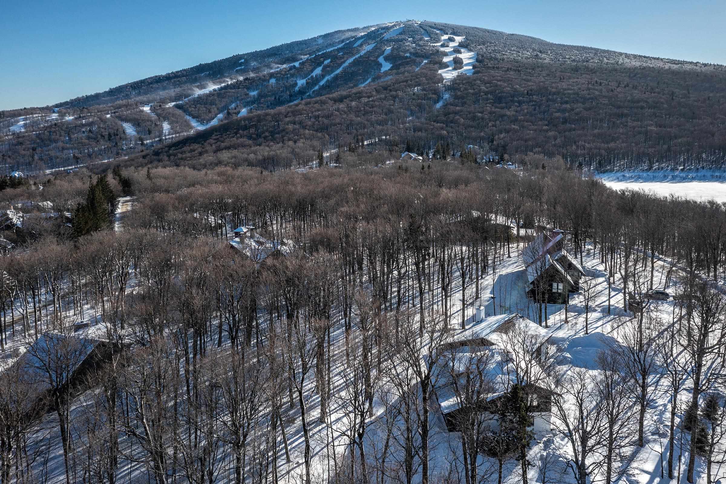 69 West Ridge Road, Unit 365 Winhall, VT 05340 - Photo 34 of 40