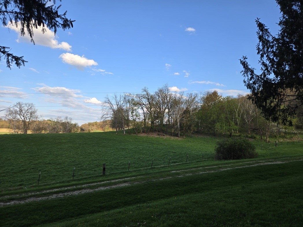 N38965 County Road West Whitehall, WI 54773 - Photo 13 of 13