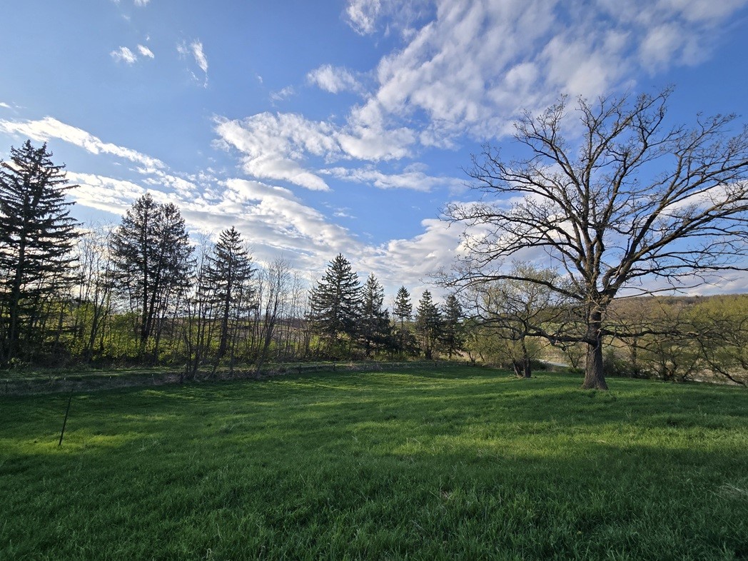N38965 County Road West Whitehall, WI 54773 - Photo 6 of 13
