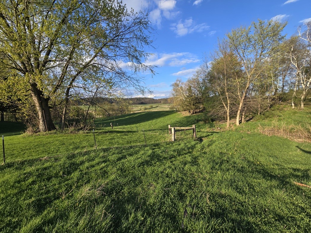 N38965 County Road West Whitehall, WI 54773 - Photo 9 of 13