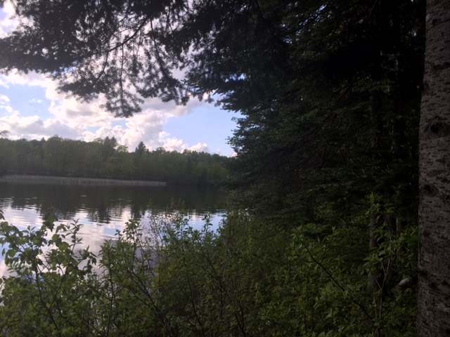 On Misty River Lane Rhinelander, WI 54501 - Photo 5 of 15 Gallery Image 5