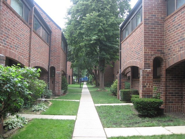 902 South May Street, Unit B Chicago, IL 60607 - Photo 2 of 15