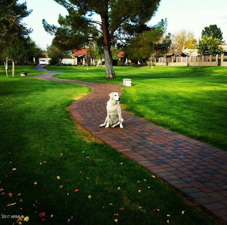 7838 East Granada Road Scottsdale, AZ 85257 - Photo 12 of 22 Pet friendly greenbelt!
