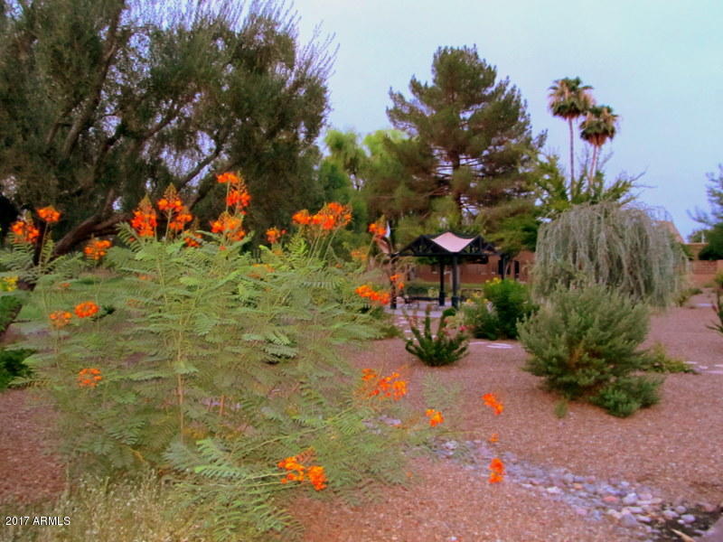 7838 East Granada Road Scottsdale, AZ 85257 - Photo 10 of 22 HdR nite pix 002