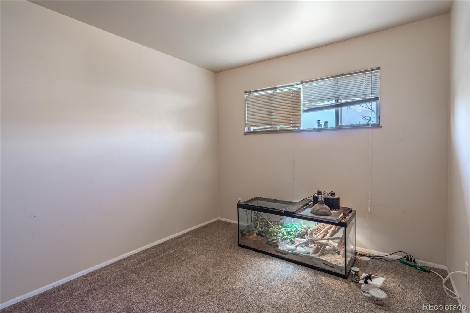6727 Dale Road Colorado Springs, CO 80915 - Photo 14 of 18