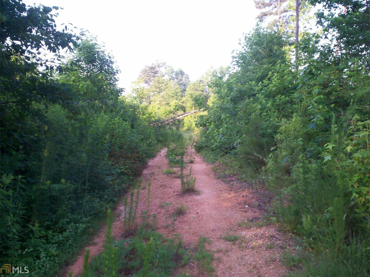 119 Ridgeland Road Eastanollee, GA 30538 - Photo 1 of 1 a backyard of a house with lots of green space