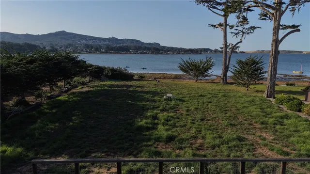 a view of a lake from a yard