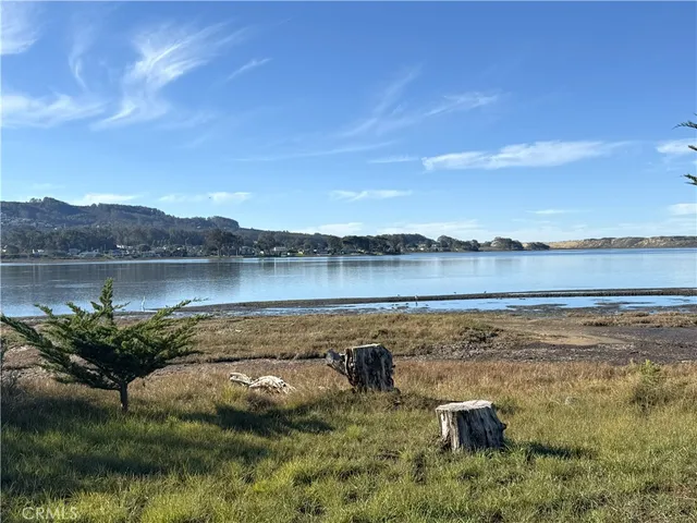a view of a lake with houses in the back