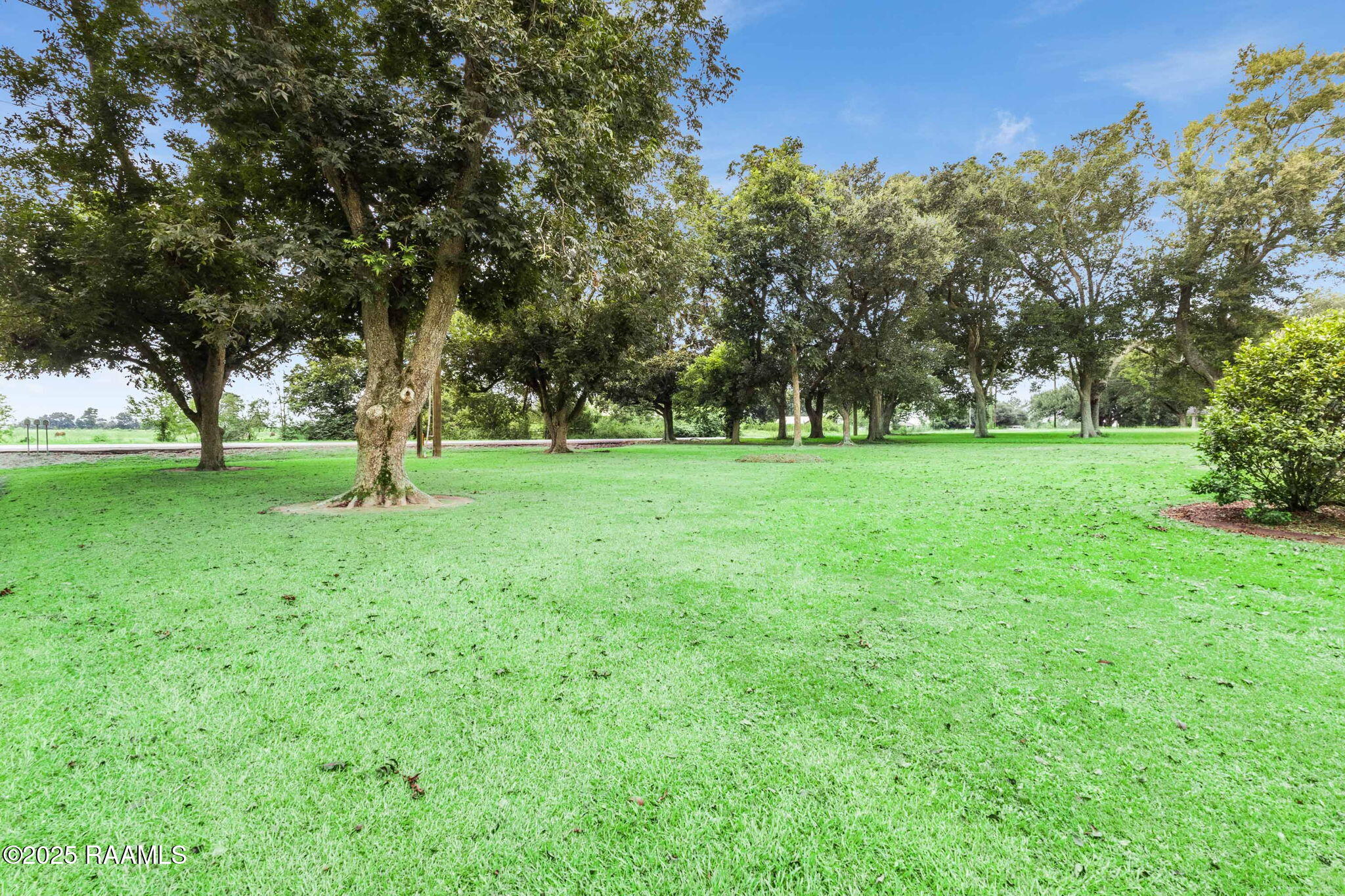 2916 Dixon Maurice, LA 70555 - Photo 4 of 38 32-web-or-mls-2916 Dixon Rd-32