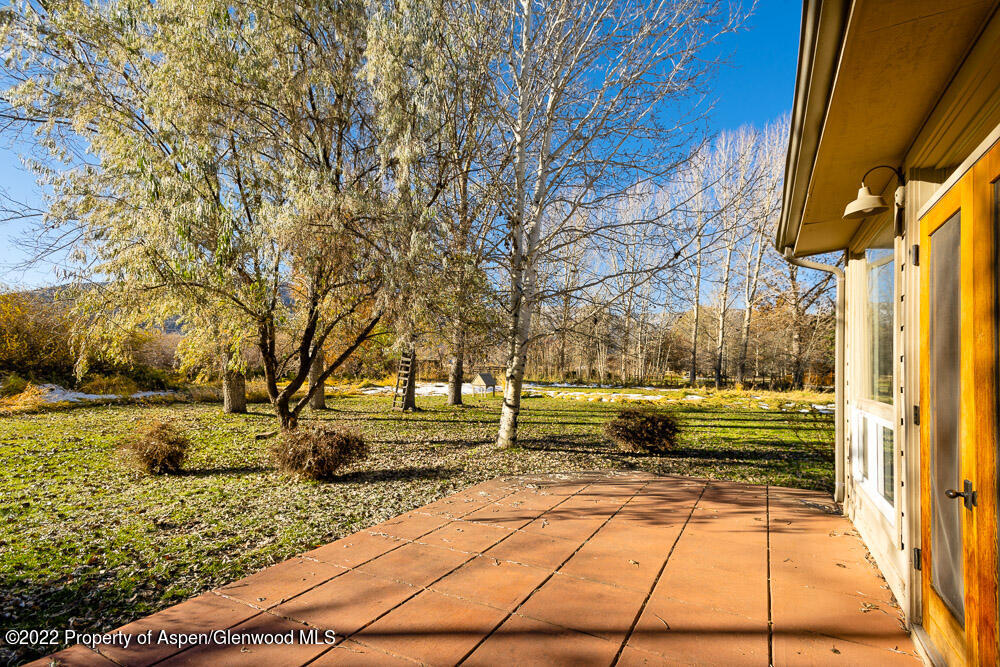 98 Lewis Lane Basalt, CO 81621 - Photo 22 of 31 a view of yard with large trees