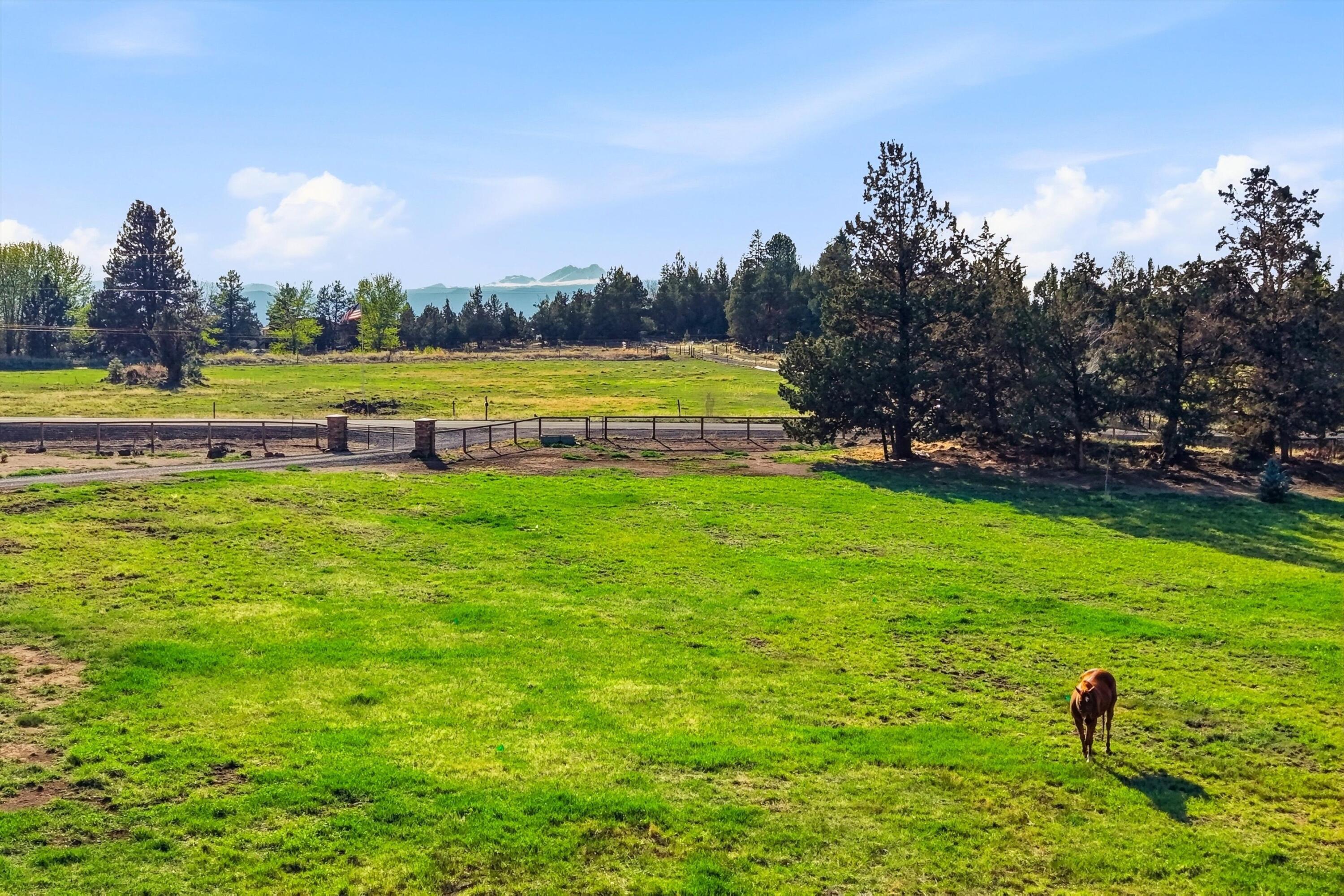 61280 Larsen Road Bend, OR 97702 - Photo 48 of 58 a view of a big yard with swimming pool and green space