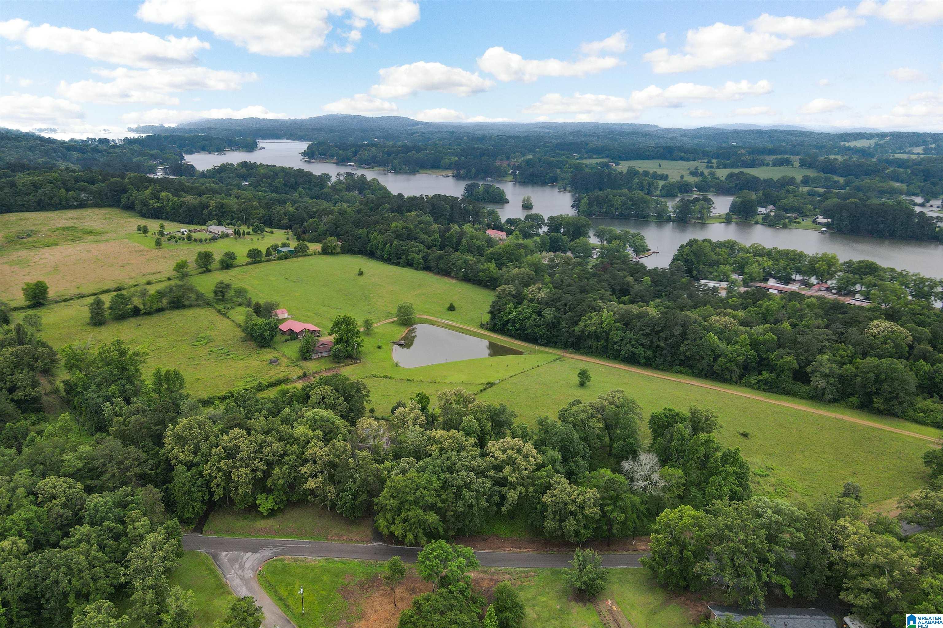 200 Treasure Island Road Cropwell, AL 35054 - Photo 1 of 48