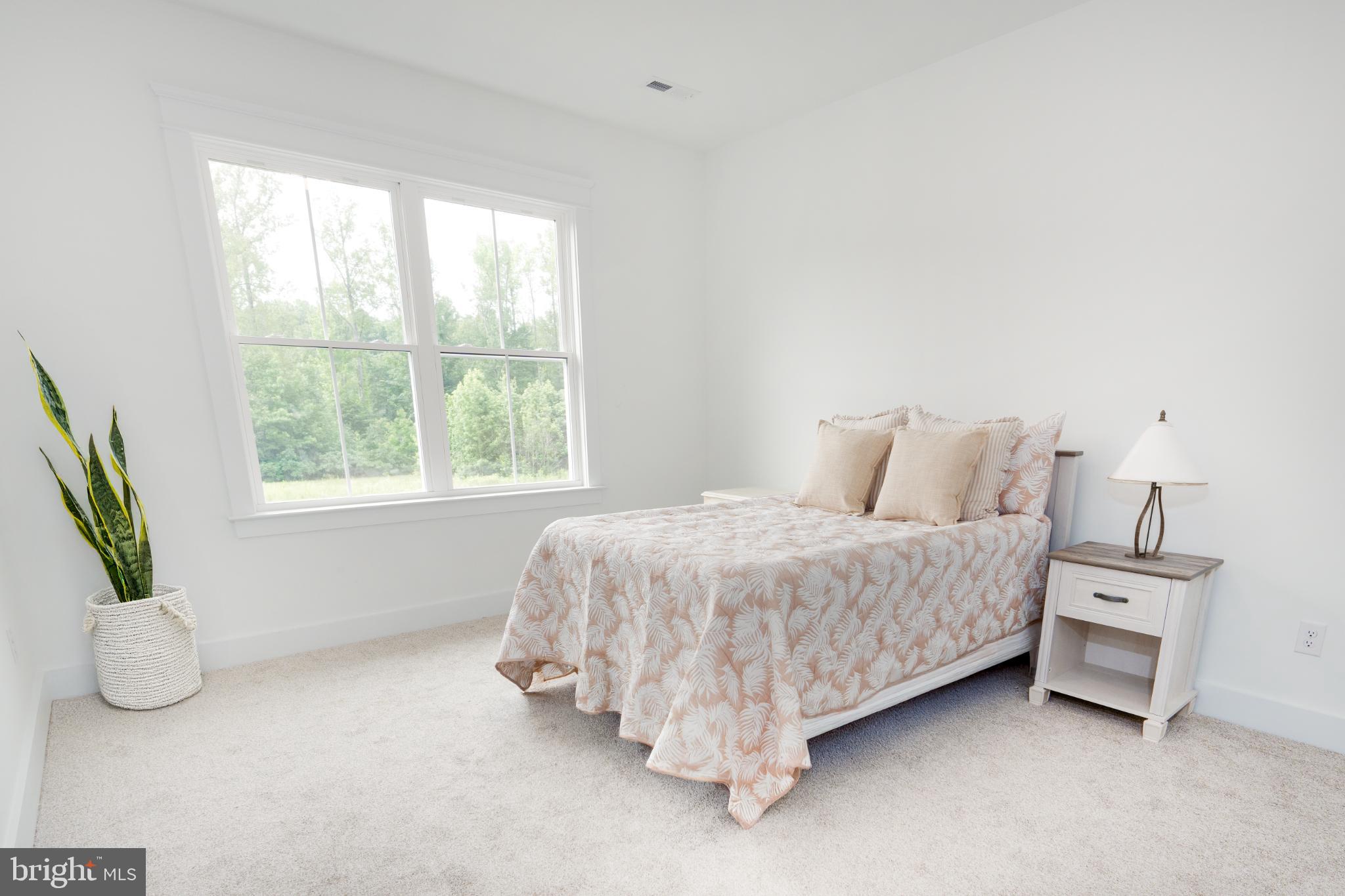 723 Rainbow Ridge Bumpass, VA 23024 - Photo 35 of 60 a bedroom with a bed and a window