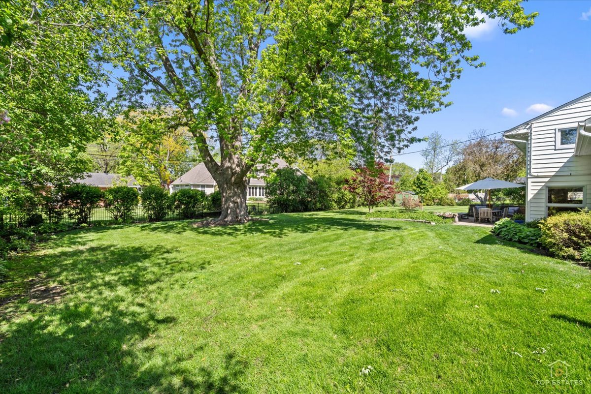 326 Charles Street Geneva, IL 60134 - Photo 29 of 33 a view of backyard with green space