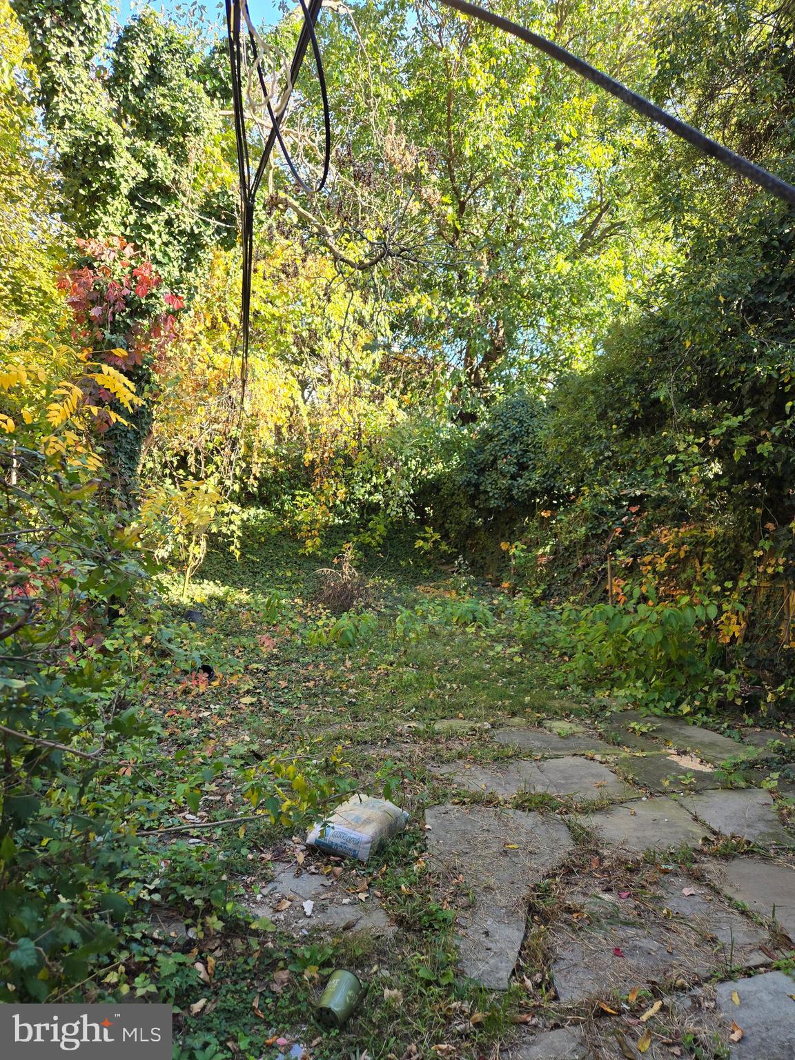 5211 Ridge Avenue, Unit 2 Philadelphia, PA 19128 - Photo 22 of 23 a view of a yard with plants and large trees