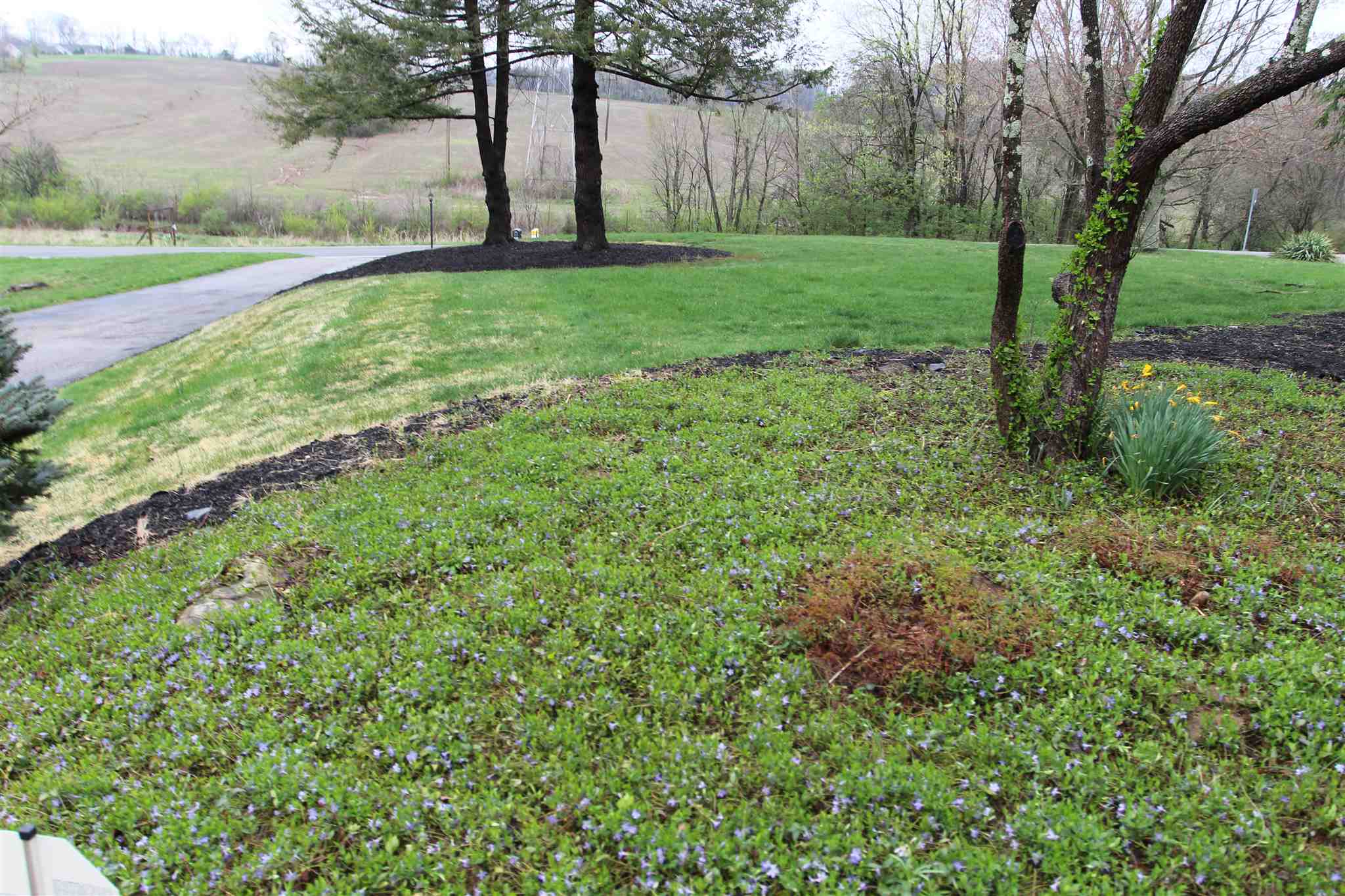 1804 South Weimer Road Bloomington, IN 47403 - Photo 28 of 30