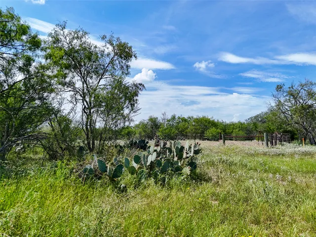 a view of a lush green space