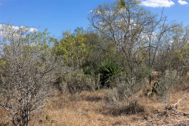 a view of a covered with trees in front of it