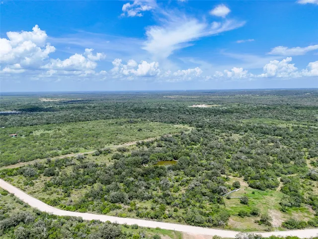 a view of a city with lush green forest