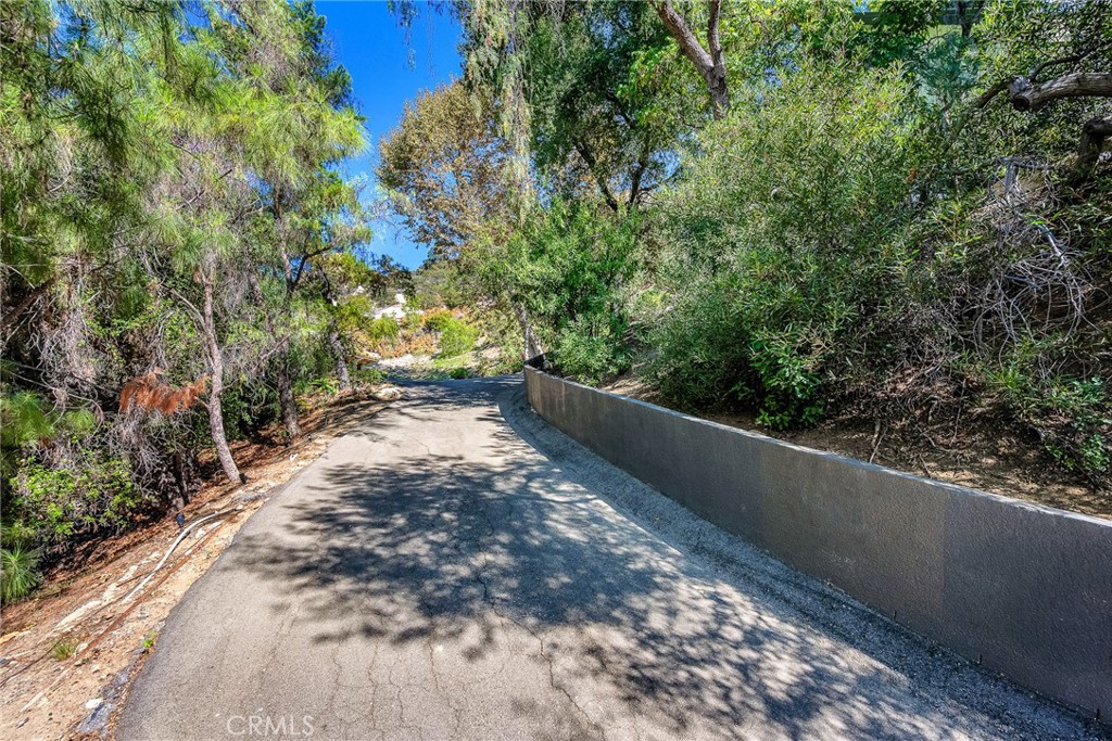 24301 Sylvan Glen Road Calabasas, CA 91302 - Photo 58 of 64 a view of a yard