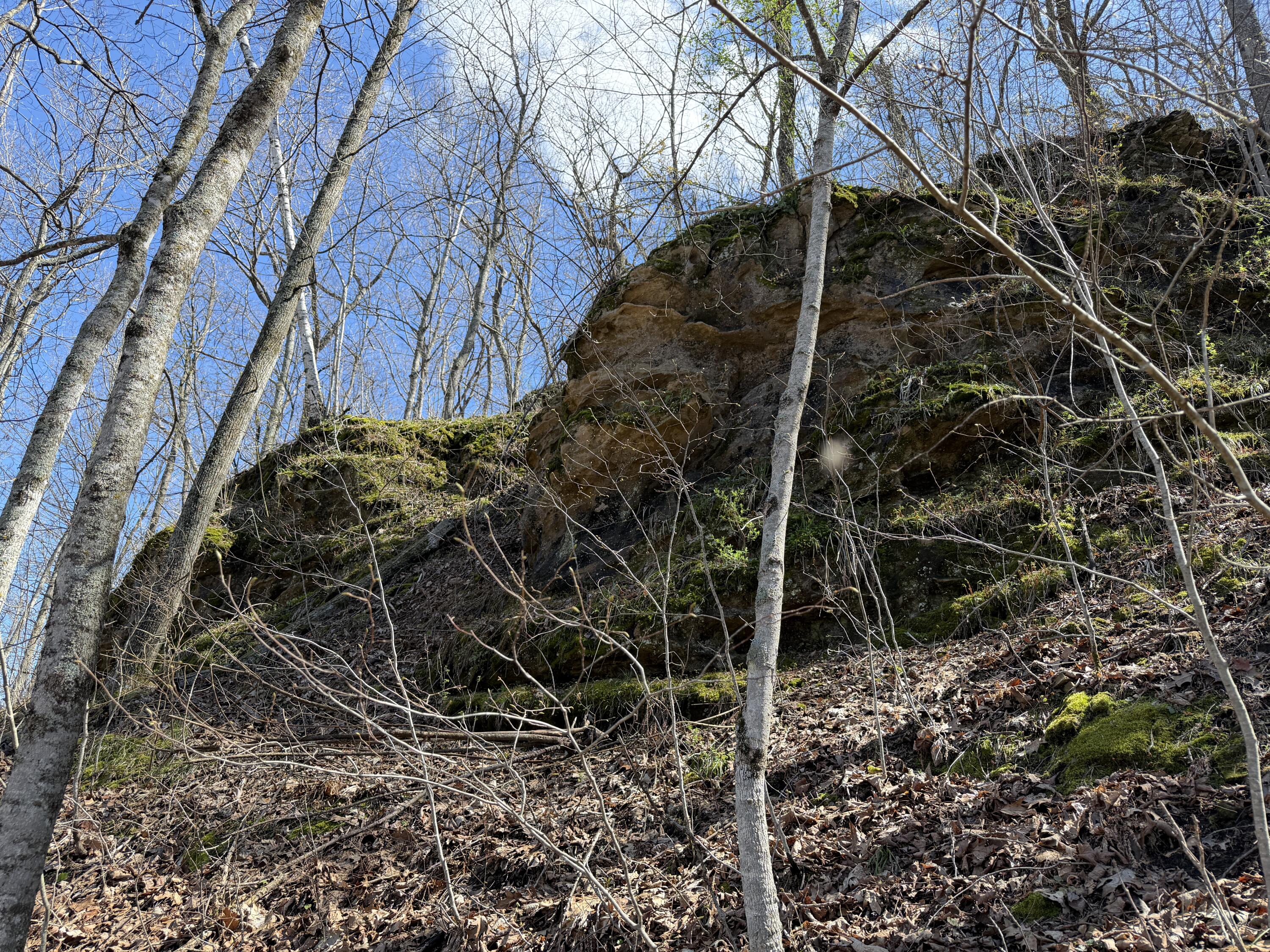 E11695 Chadwick Hollow Road Liberty, WI 54664 - Photo 28 of 49 Rock Outcroppings