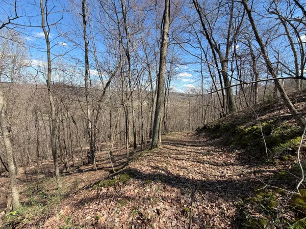 $499,000 | E11695 Chadwick Hollow Road, Liberty, WI 54664