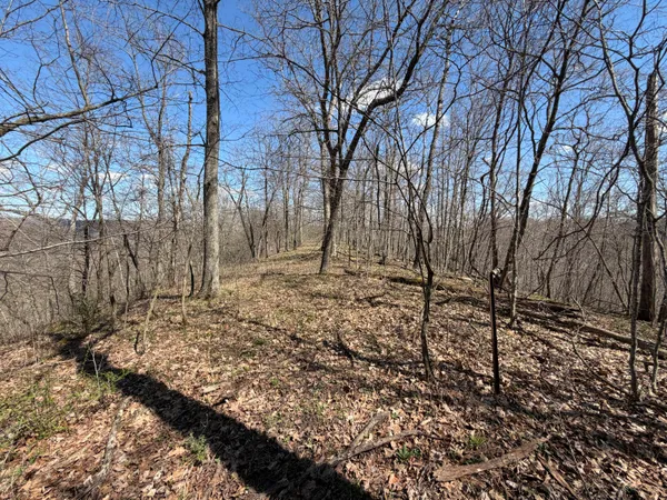 $499,000 | E11695 Chadwick Hollow Road, Liberty, WI 54664