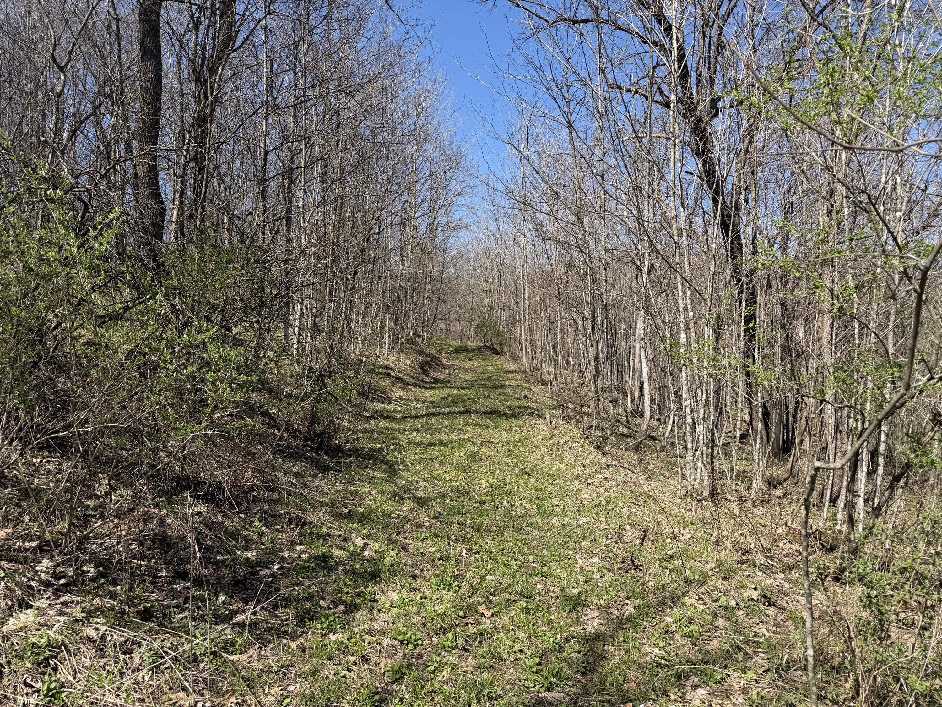 E11695 Chadwick Hollow Road Liberty, WI 54664 - Photo 37 of 49 20260416_191211899_iOS