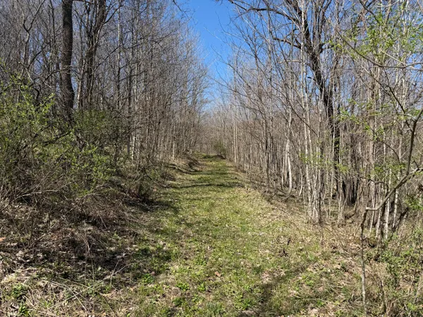 $499,000 | E11695 Chadwick Hollow Road, Liberty, WI 54664