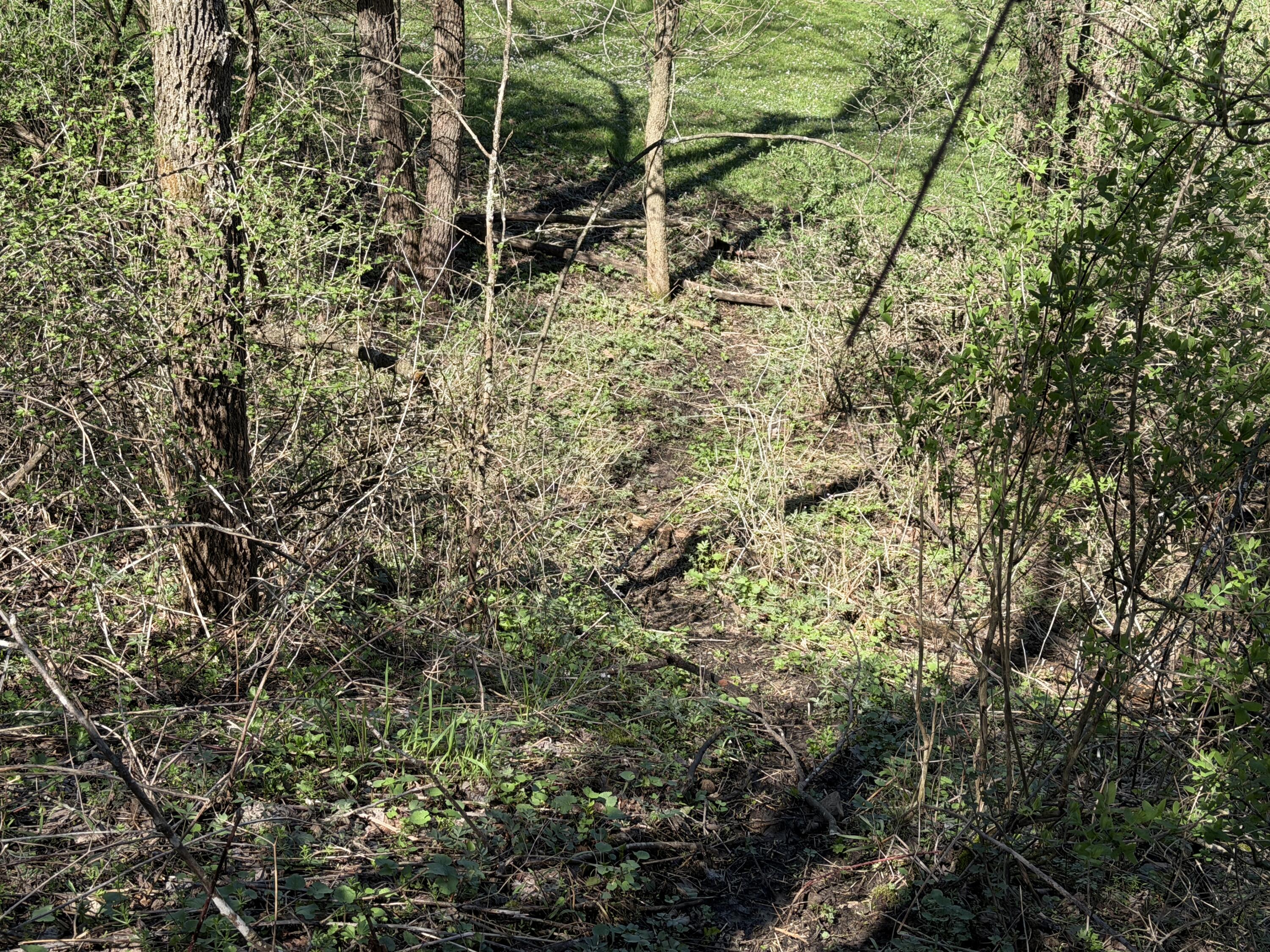 E11695 Chadwick Hollow Road Liberty, WI 54664 - Photo 39 of 49 20260416_194816709_iOS