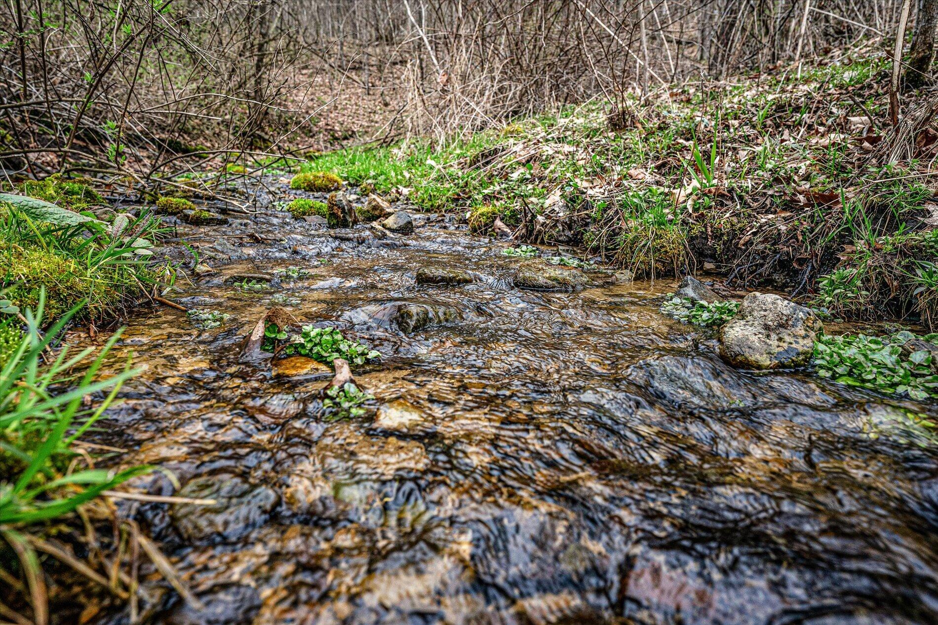 E11695 Chadwick Hollow Road Liberty, WI 54664 - Photo 4 of 49 Heavy Flowing Spring