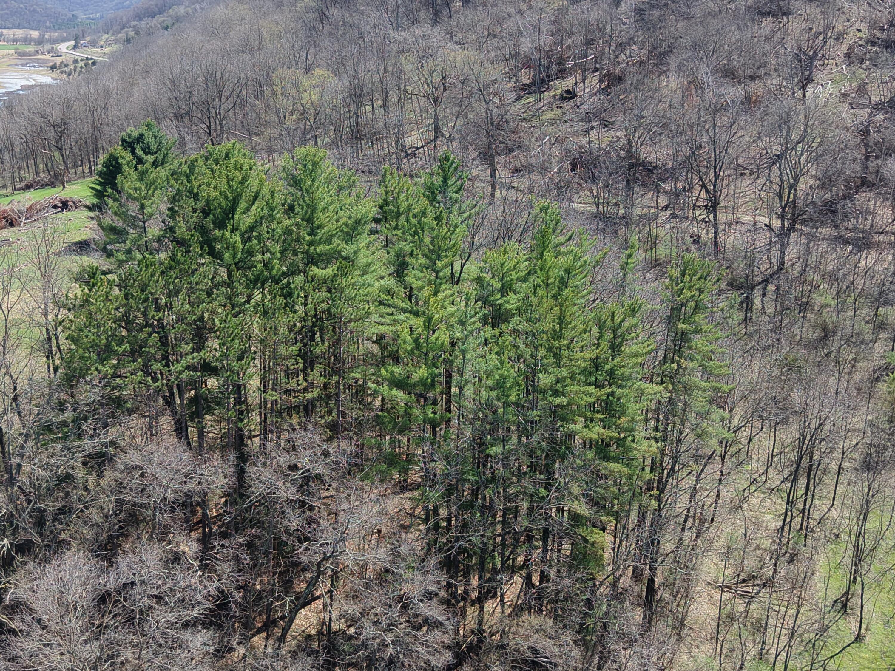 E11695 Chadwick Hollow Road Liberty, WI 54664 - Photo 40 of 49 DJI_20260416140250_0401_D