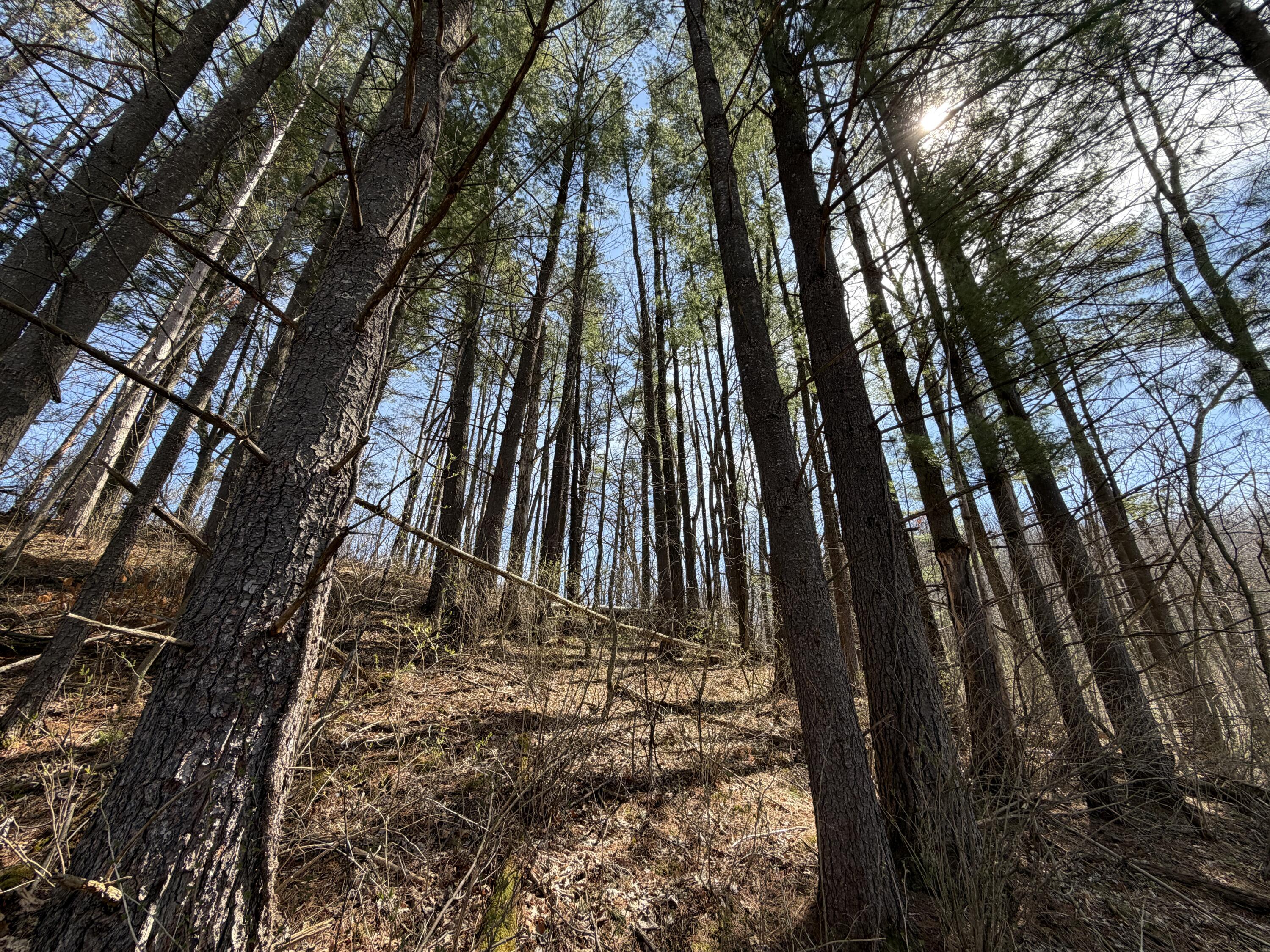 E11695 Chadwick Hollow Road Liberty, WI 54664 - Photo 41 of 49 20260409_184046058_iOS