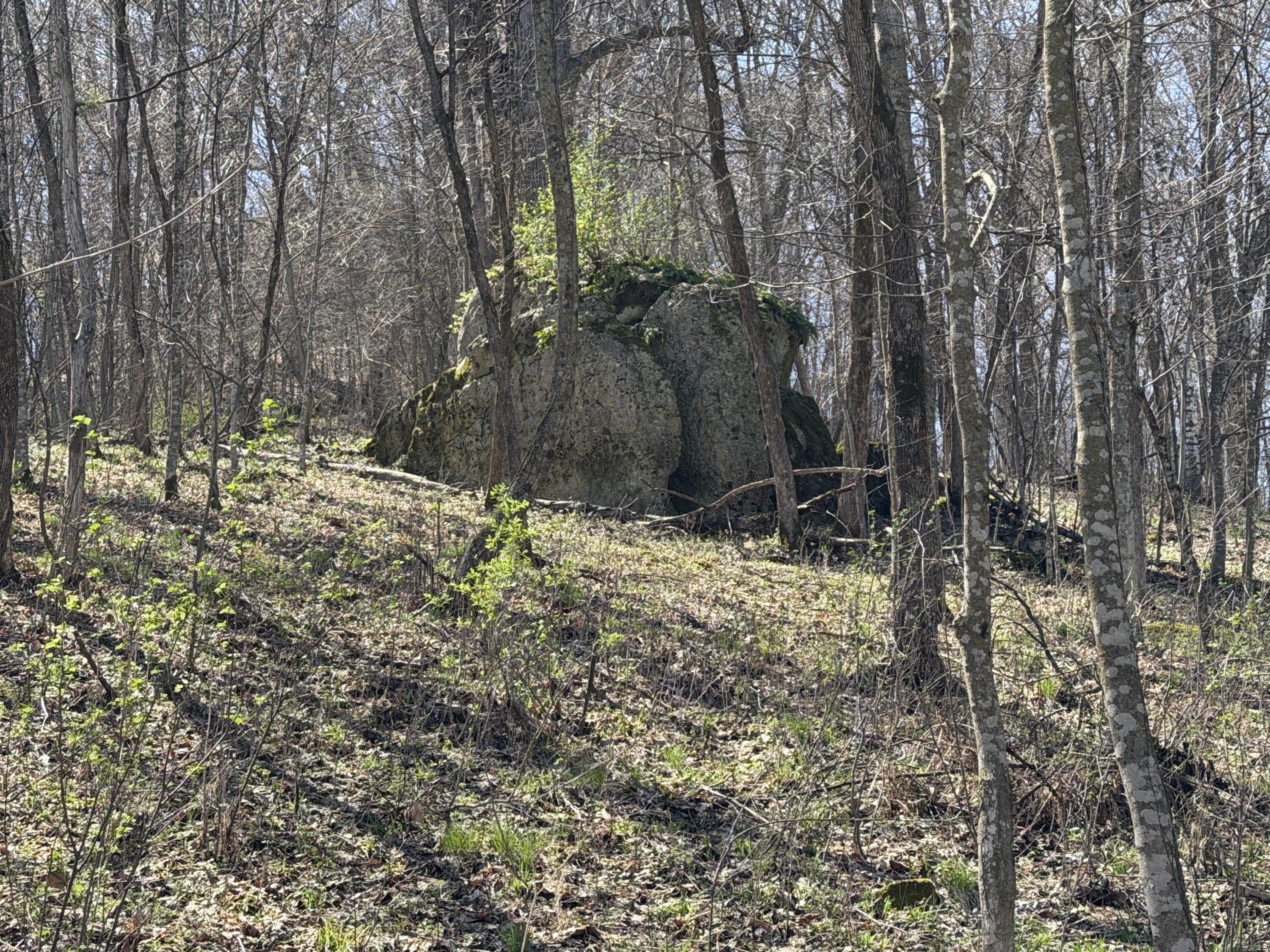 E11695 Chadwick Hollow Road Liberty, WI 54664 - Photo 42 of 49 20260416_191426904_iOS