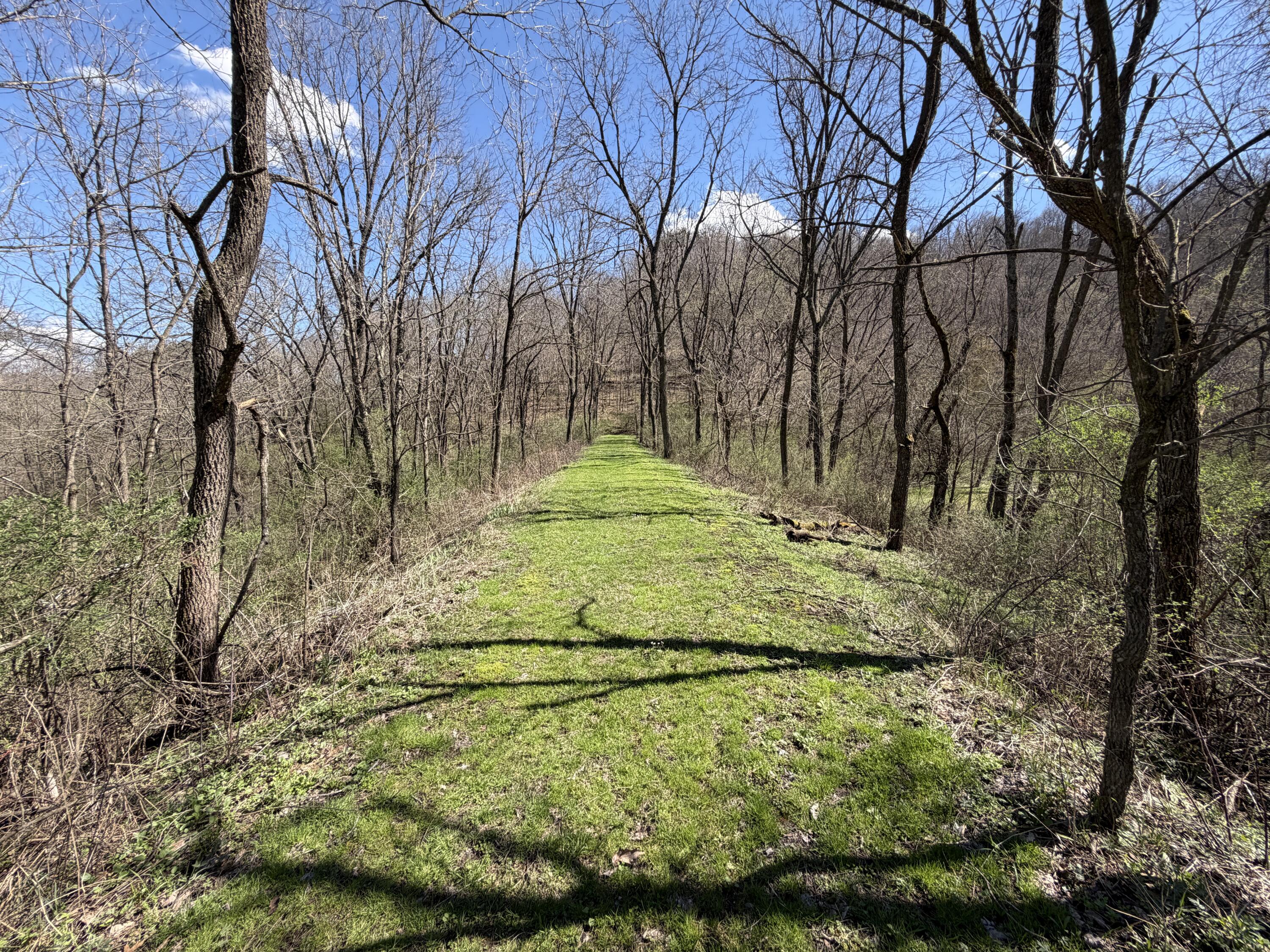 E11695 Chadwick Hollow Road Liberty, WI 54664 - Photo 45 of 49 20260416_194622869_iOS