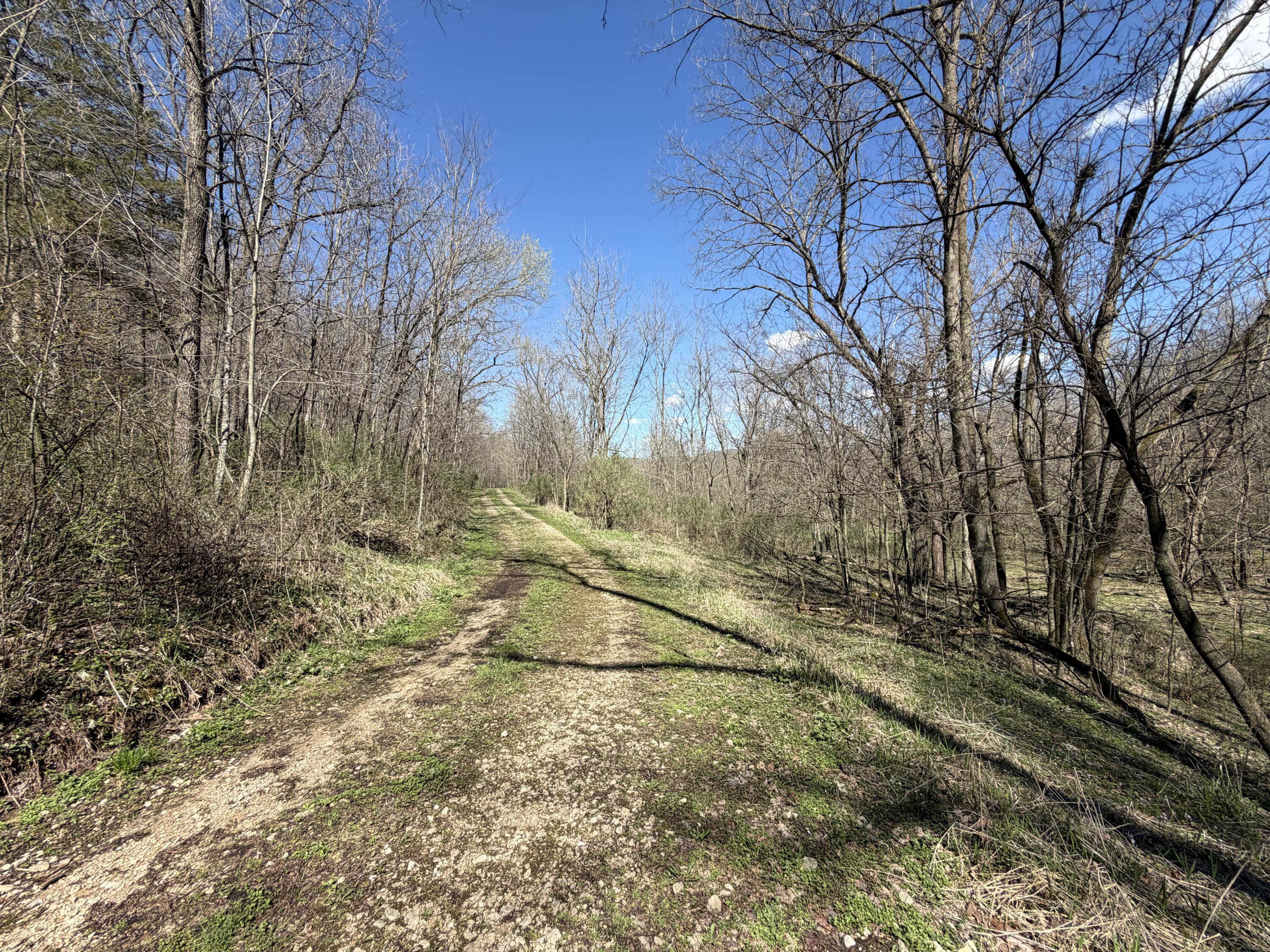 E11695 Chadwick Hollow Road Liberty, WI 54664 - Photo 46 of 49 Established Easement Gravel Rd