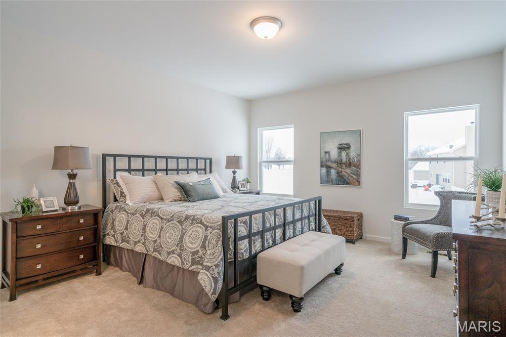 3220 River Breeze Court St. Charles, MO 63301 - Photo 23 of 30