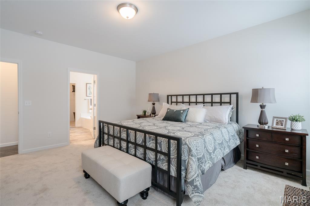 3220 River Breeze Court St. Charles, MO 63301 - Photo 24 of 30