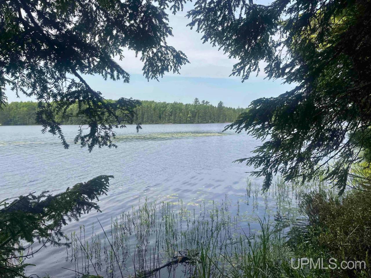 Parcel 1 Grant Lake Road Republic, MI 49879 - Photo 2 of 23